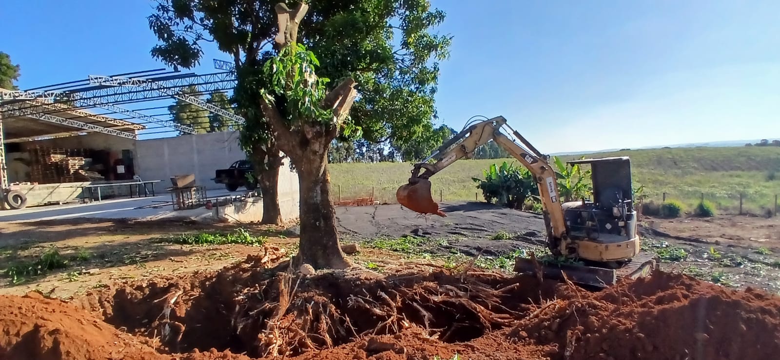 Mini escavadeira realizando limpeza de terreno com raízes expostas